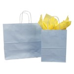 Misty Blue Paper Shoppers - Petite